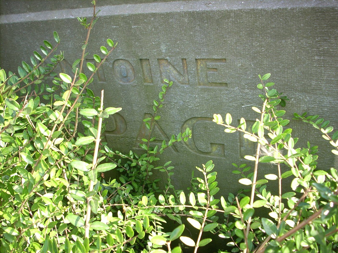 Antoine Depage monument, Croix-Rouge historical building, Brussels - 04.JPG